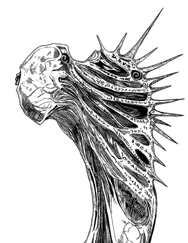 Concept Art Images
